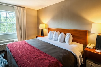 Room, 1 King Bed, Accessible, Non Smoking