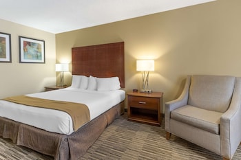 Standard Room, 1 King Bed, Smoking