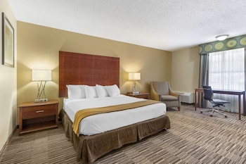 Standard Room, 1 King Bed, Smoking