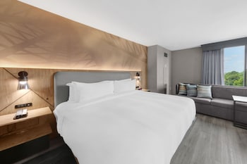 Room, 1 King Bed