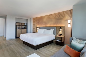 Room, 1 King Bed