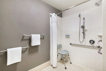 Room, 1 King Bed with Sofa bed (Mobility/Hearing Access, Roll-in Shwr)