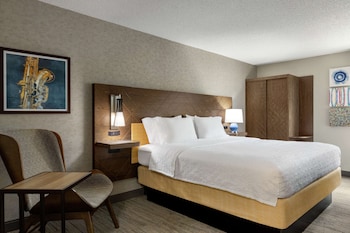 Room, 1 King Bed, Non Smoking