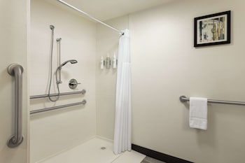 Room, 1 Queen Bed, Accessible, Non Smoking (Roll In Shower)