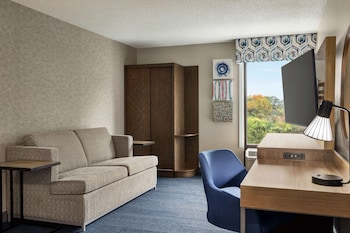 Room, 1 King Bed with Sofa bed