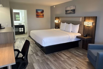 Deluxe Room, 1 King Bed, Non Smoking