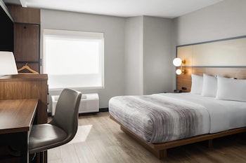 Room, 1 Queen Bed, Hearing Accessible, Non Smoking (Hearing, Roll-in Shower)