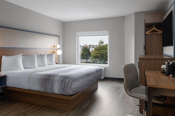 Room, 1 King Bed, Non Smoking