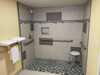 Standard Room, 1 King Bed, Accessible, Refrigerator & Microwave (Refrigerator & Microwave)