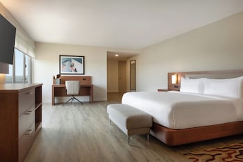 Room, 1 King Bed; Mobility, Shower (Newly Renovated)