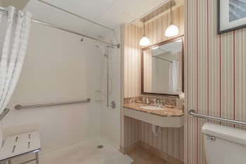 Room, 1 King Bed; Mobility, Shower (Newly Renovated)