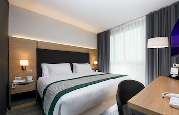 Suite, 1 King Bed with Sofa bed