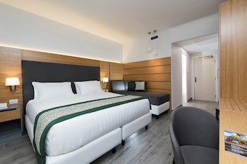 Premium Room, 1 King Bed with Sofa bed