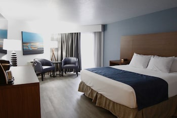 Franklin Pet Friendly Room, 1 King Bed