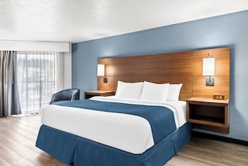 Franklin Pet Friendly Room, 1 King Bed