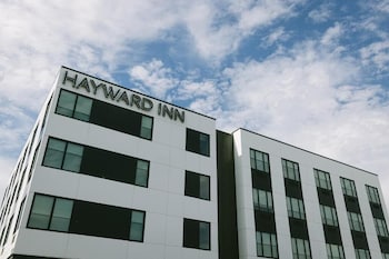 Hayward Pet Friendly Room, 2 Queen Beds