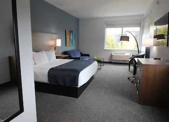 Hayward Deluxe Room, 1 King bed with Sofa bed