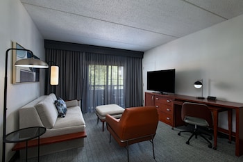 Suite, 1 Bedroom, Non Smoking (Mobility Accessible, Roll-In Shower)