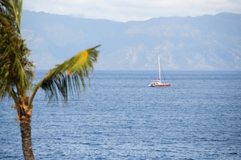 Moana Oceanfront 2 Double