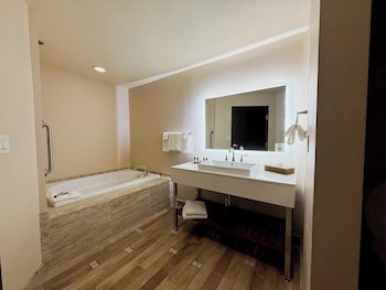 Executive Studio Suite