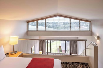 Gallery Suite