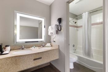 Business Room, 1 King Bed, Non Smoking, Jetted Tub (Oversized Room)