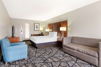 Business Room, 1 King Bed, Non Smoking, Refrigerator & Microwave (Oversized Room)