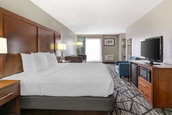 Business Room, 1 King Bed, Non Smoking, Refrigerator & Microwave (Oversized Room)