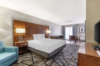 Suite, 1 King Bed, Smoking, Refrigerator & Microwave