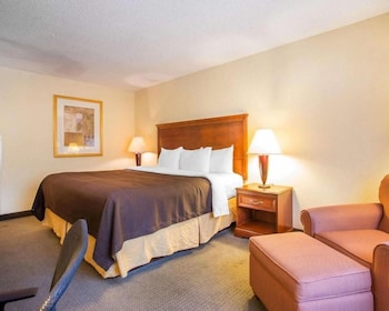Standard Single Room, 1 King Bed, Non Smoking, Bathtub