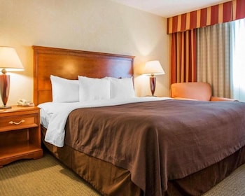 Standard Single Room, 1 King Bed, Non Smoking, Bathtub