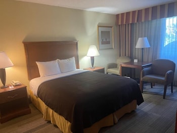 Basic Single Room, 1 Queen Bed, Mobility Accessible, Non Smoking