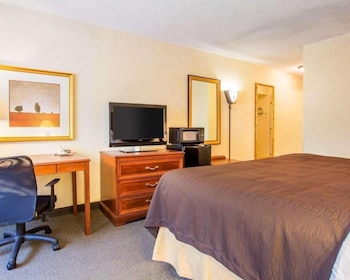 Standard Single Room, 1 King Bed, Non Smoking, Bathtub