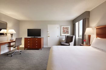 Room, 1 King Bed, Accessible, Non Smoking (Bathtub)