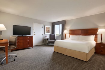 Room, 1 King Bed, Accessible, Non Smoking (Bathtub)