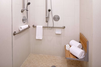 Premium Suite, 1 King Bed, Accessible, Non Smoking (Roll-in Shower)