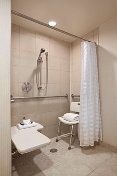 Premium Suite, 1 King Bed, Accessible, Non Smoking (Roll-in Shower)