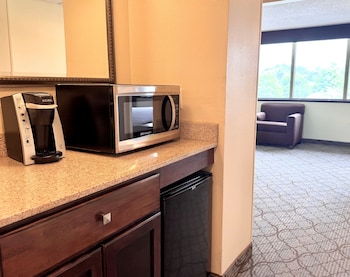 Suite, 1 Bedroom (Walk-In Shower)