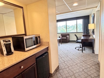 Suite, 1 Bedroom (Walk-In Shower)