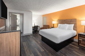 Room, 1 Queen Bed, Mobility Accessible, Non Smoking (Bathtub W/grab Bars)