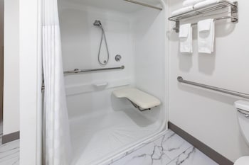 Room, 1 Queen Bed, Mobility Accessible, Non Smoking (Roll-in Shower)