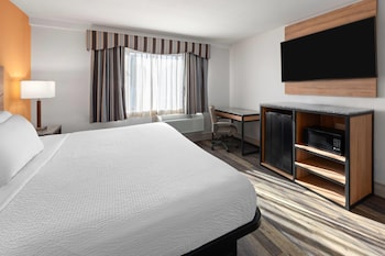 Room, 1 King Bed, Non Smoking