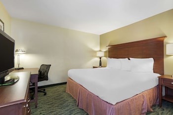 Suite, 1 King Bed, Non Smoking, Kitchenette (with Sofabed)