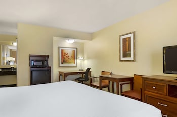 Suite, 1 King Bed, Accessible, Kitchenette (with Sofabed)