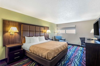 Room, 1 King Bed, Non Smoking