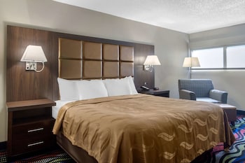 Room, 1 King Bed, Non Smoking