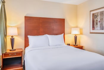 Suite, 1 Queen Bed, Non Smoking (One-Bedroom)