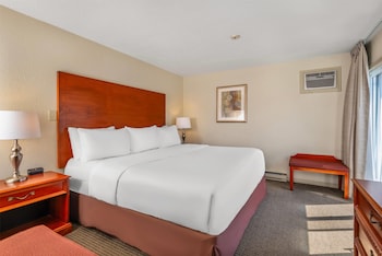 Suite, 1 King Bed, Non Smoking (One-Bedroom)
