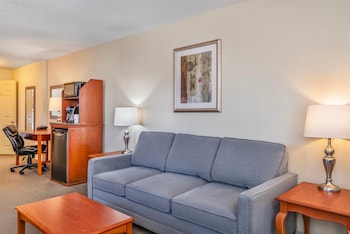 Suite, 1 King Bed, Non Smoking (One-Bedroom)