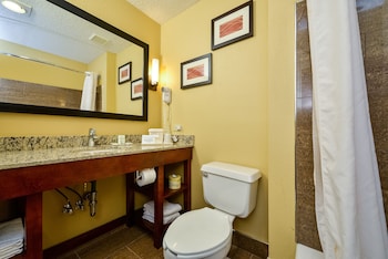 Suite, 1 Queen Bed with Sofa bed, Non Smoking (Efficiency, Upgrade)